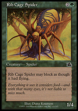 Rib Cage Spider