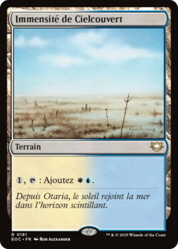 Immensité de Cielcouvert