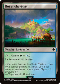 Îlot enchevêtré