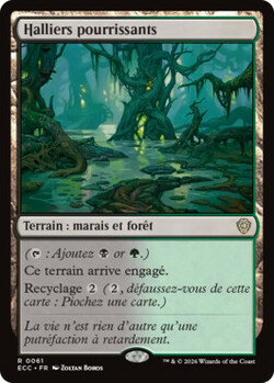 Halliers pourrissants