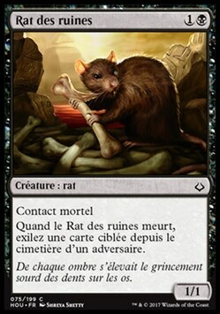 Rat des ruines
