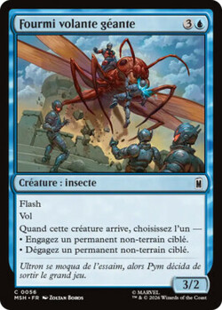 Fourmi volante géante