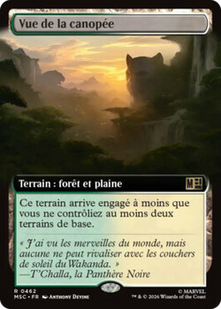Vue de la canopée