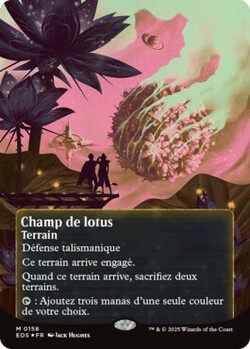 Champ de lotus