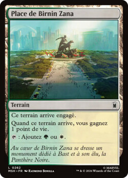 Place de Birnin Zana