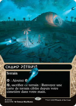 Champ pétrifié