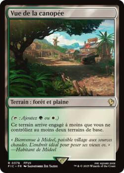 Vue de la canopée