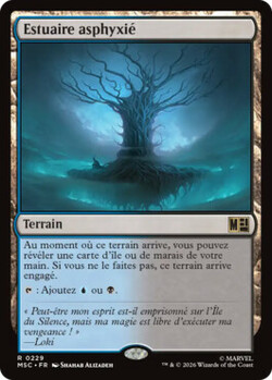 Estuaire asphyxié