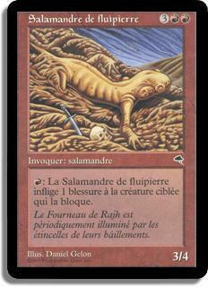 Salamandre de fluipierre