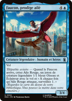 Faucon, prodige ailé