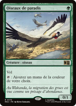 Oiseaux de paradis