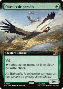 Oiseaux de paradis