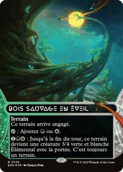 Bois sauvage en éveil