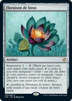 Floraison de lotus