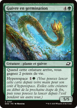 Guivre en germination