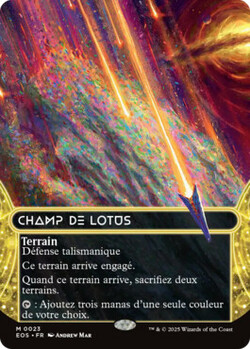 Champ de lotus