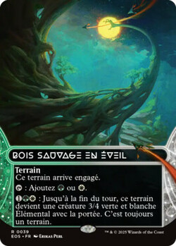 Bois sauvage en éveil