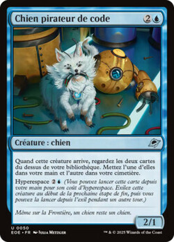Chien pirateur de code