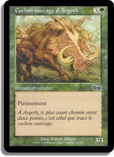 Cochon sauvage d'Argoth