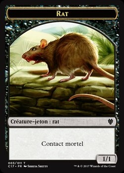 Rat | Chat et guerrier