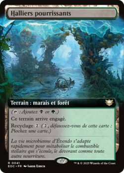 Halliers pourrissants