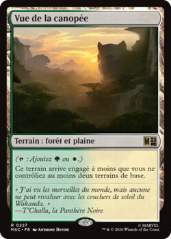 Vue de la canopée