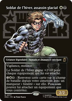 Soldat de l'hiver, assassin glacial