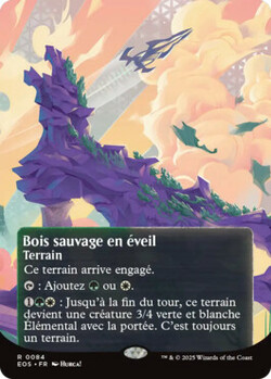 Bois sauvage en éveil