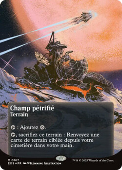 Champ pétrifié