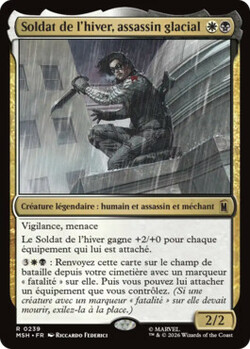 Soldat de l'hiver, assassin glacial