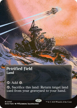 Petrified Field