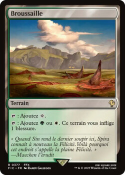 Broussaille