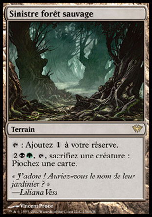 Sinistre forêt sauvage