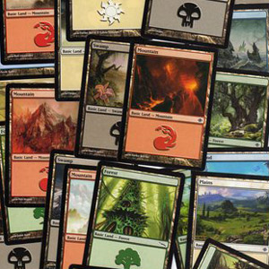 50 terrains basiques