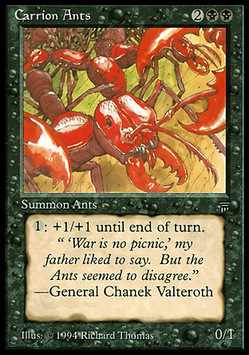 Carrion Ants