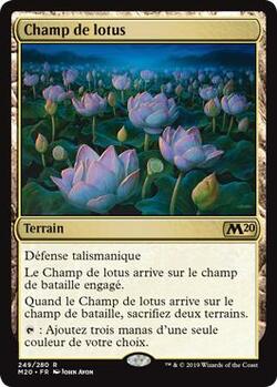 Champ de lotus