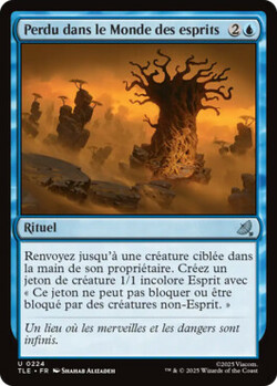 Perdu dans le Monde des esprits