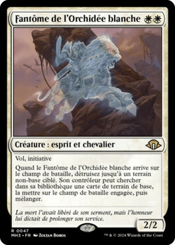 Fantôme de l'Orchidée blanche