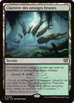 Clairière des oronges brunes