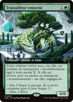 Traînailleur endormi