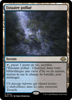 Estuaire pollué