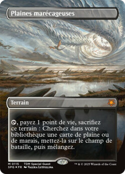 Plaines marécageuses