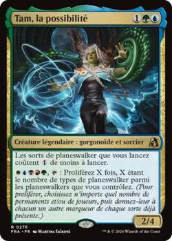 Tam, la possibilité