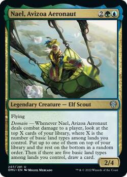 Nael, Avizoa Aeronaut