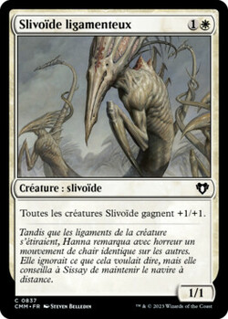 Slivoïde ligamenteux