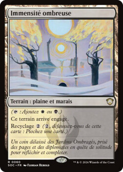 Immensité ombreuse