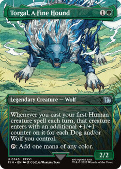 Torgal, A Fine Hound