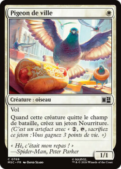 Pigeon de ville
