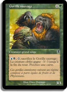 Gorille sauvage