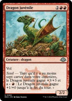 Dragon juvénile